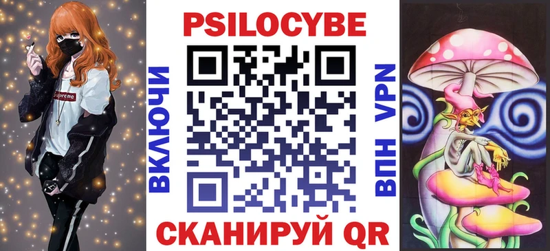 Купить  Краснозаводск  Галлюциногенные грибы Psilocybine cubensis 